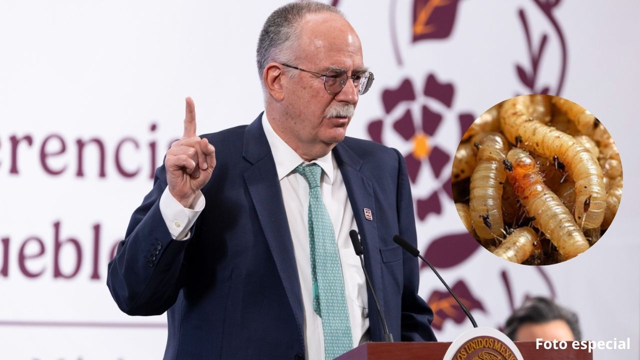 EU avienta la bolita para combatir el gusano barrenador: Berdegué