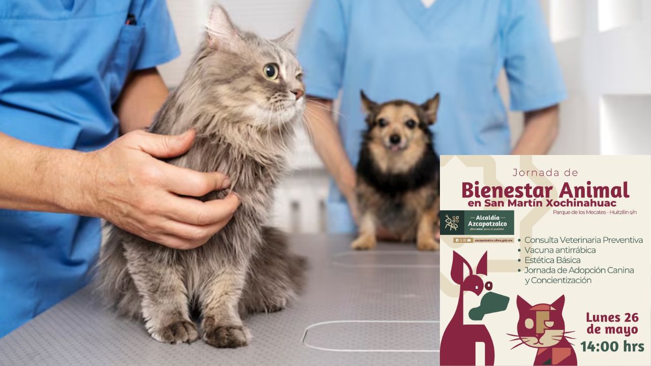 Jornada de Bienestar Animal en Azcapotzalco