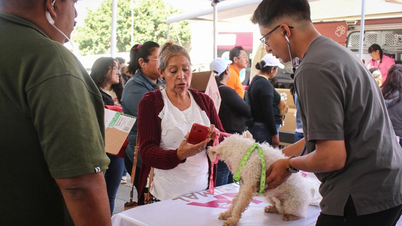 Caravana por el Bienestar Animal llega a Tonatico