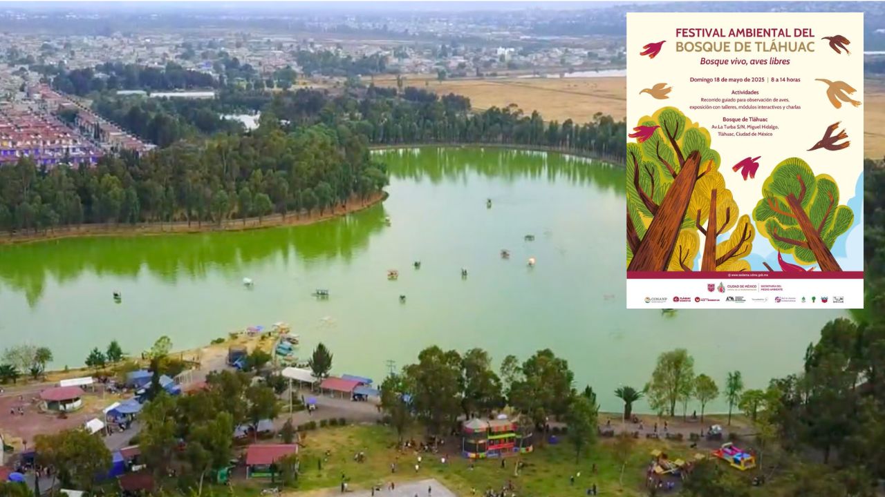 Participa en el Festival Ambiental del Bosque de Tláhuac