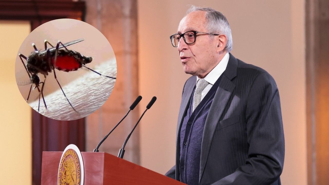 En caso de dengue: no se automedique