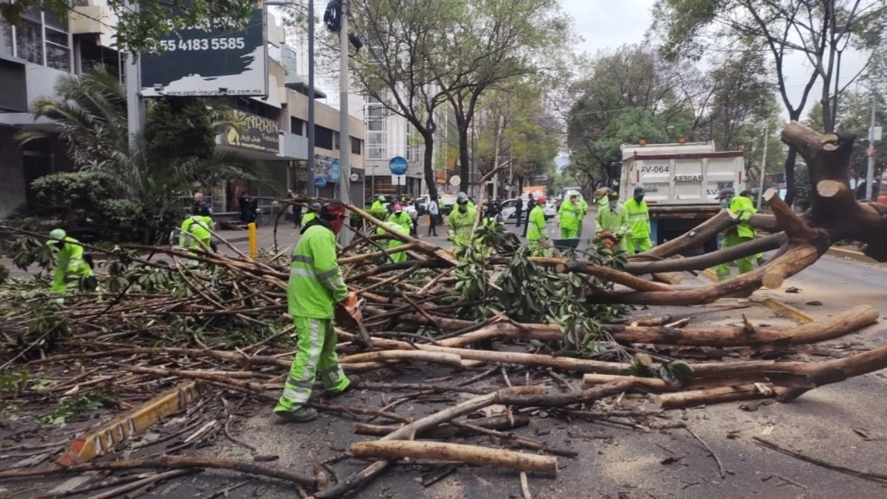¡Ojo! Activan Alerta amarilla por fuertes vientos en CDMX