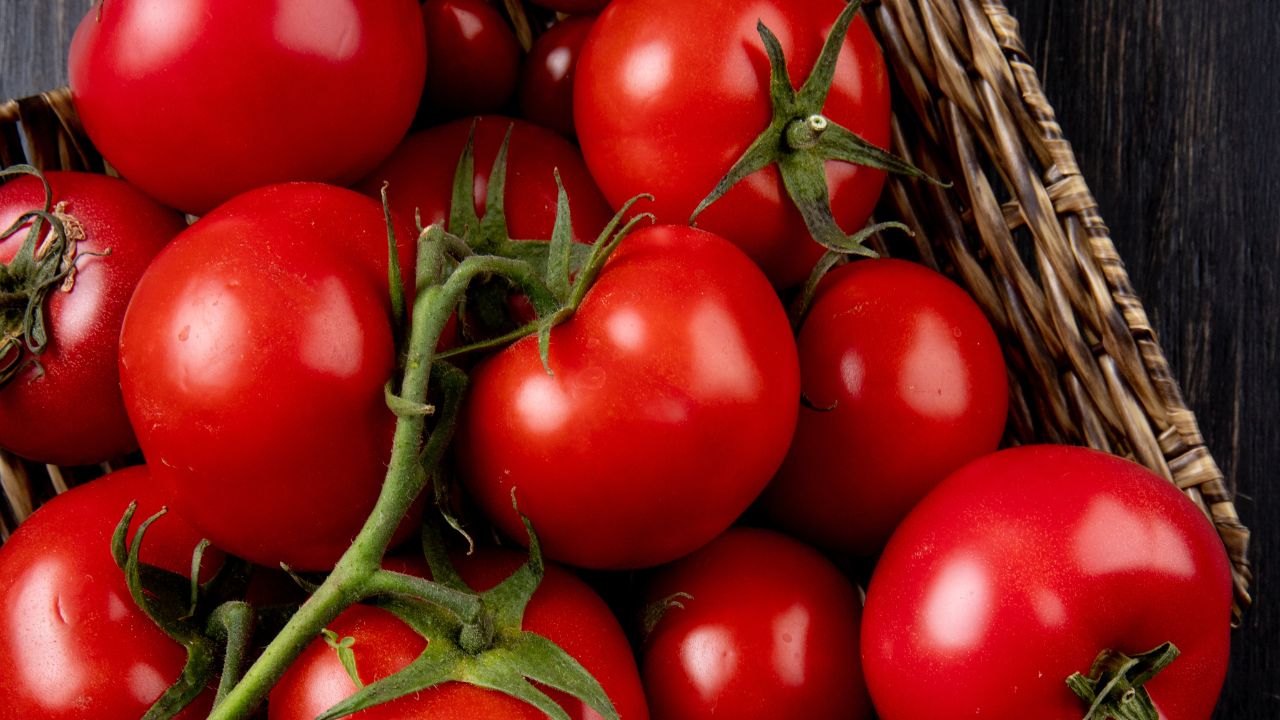 México busca exportar jitomate a Japón ante nuevo arancel de EU