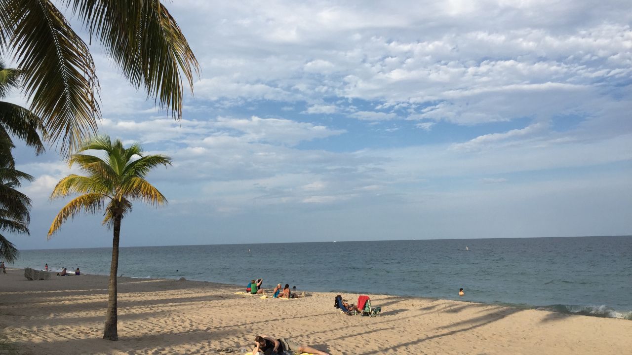 Cofepris declara cuatro playas de Acapulco no aptas para uso recreativo