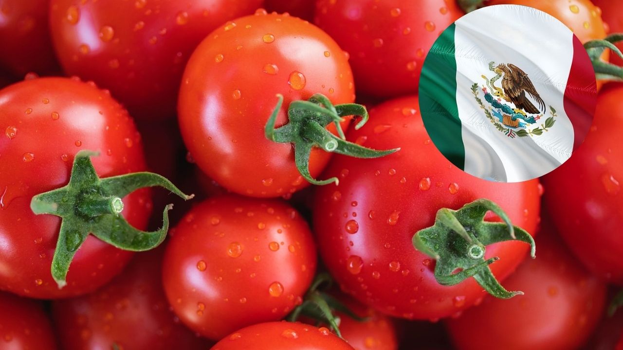 México rechaza arancel al tomate