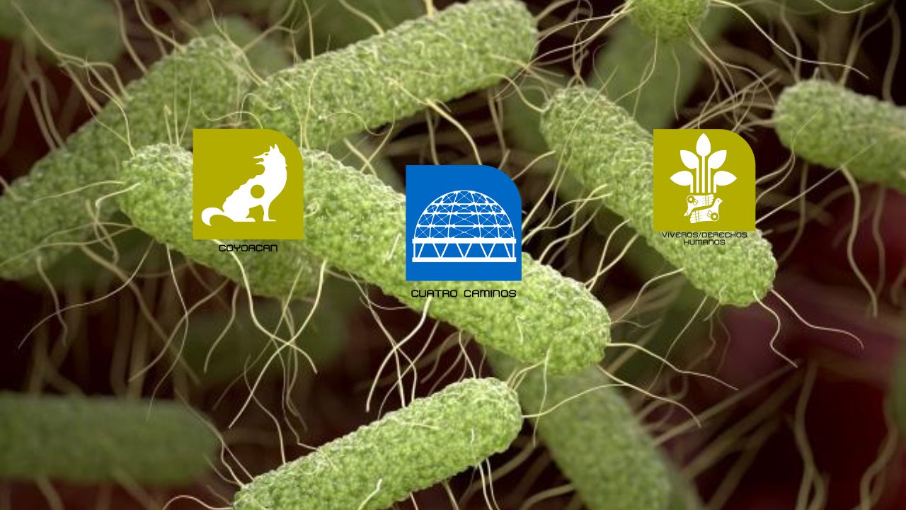 Detectan bacterias fecales en salsas de puestos callejeros