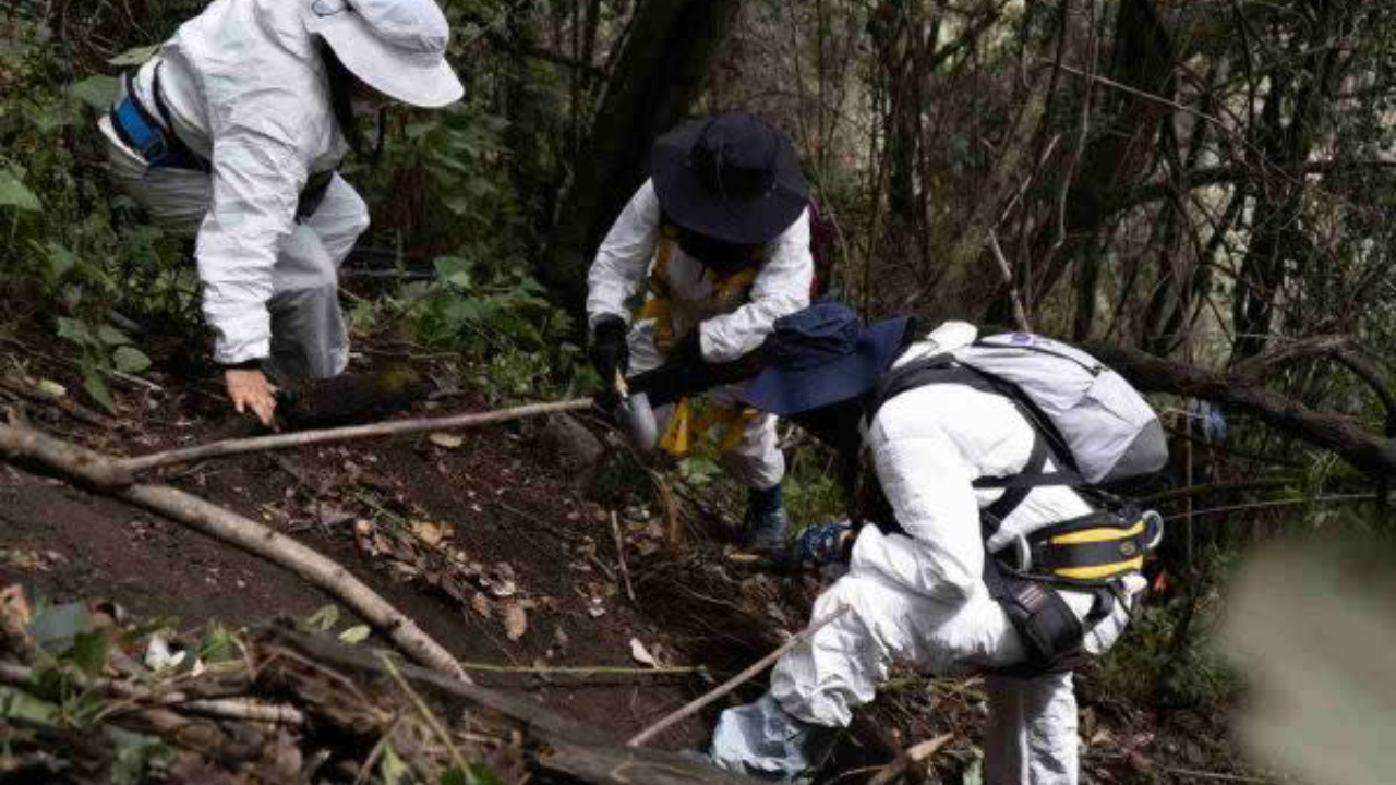 Recibe Brugada terna de aspirantes a la Comisión de Búsqueda 