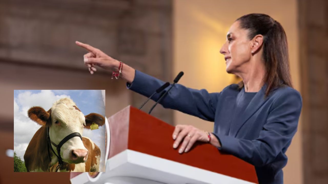 Sheinbaum critica cierre fronterizo de EU a ganado