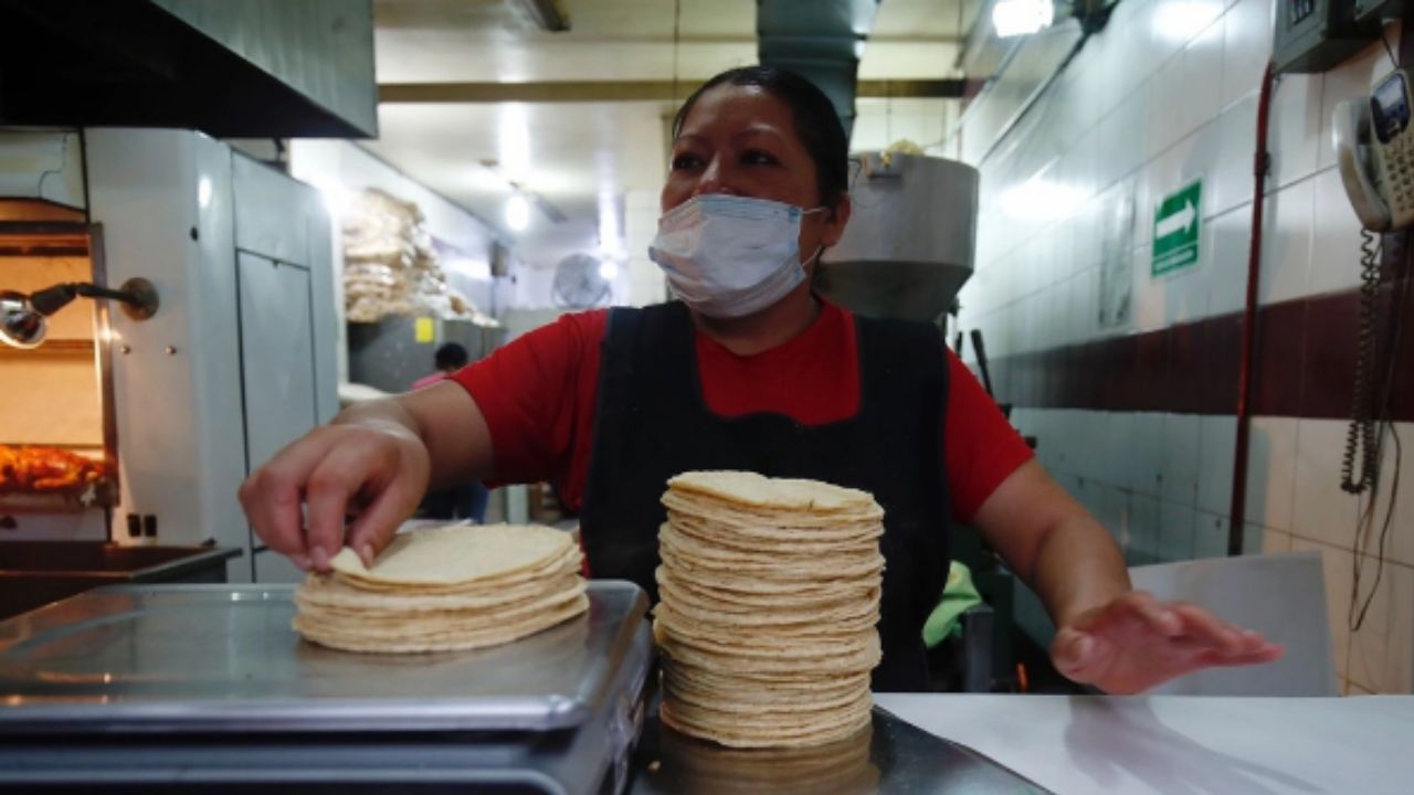 Se busca que la tortilla baje su precio un 5%: Sheinbaum