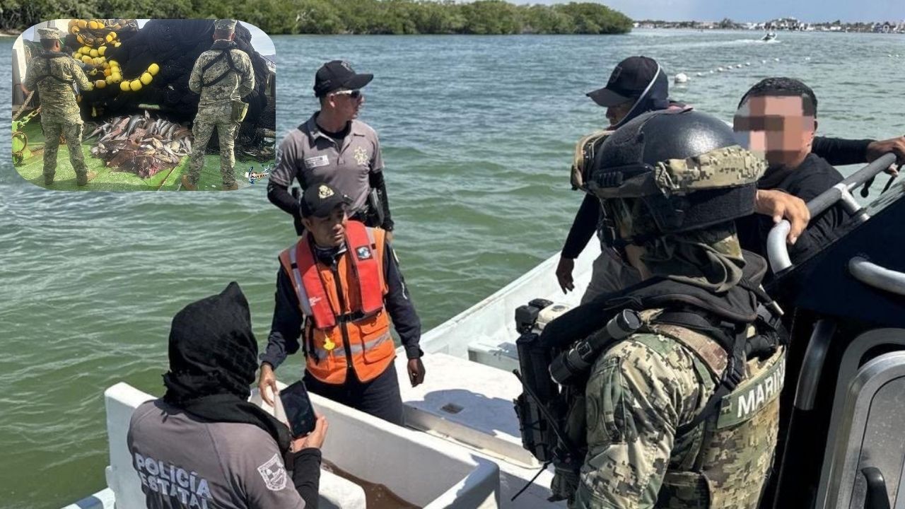 Conapesca y Marina decomisan más de 4 mil toneladas de pesca ilegal  