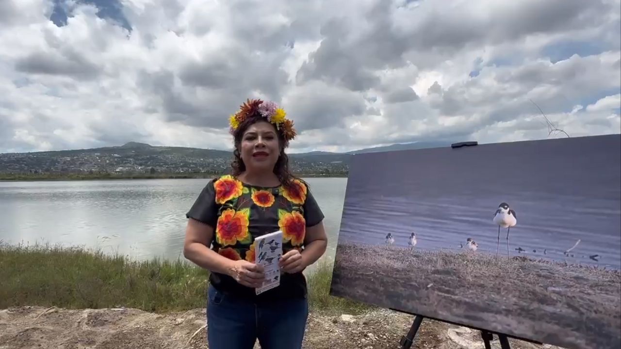 Presentan plan para rescatar Xochimilco y Tláhuac