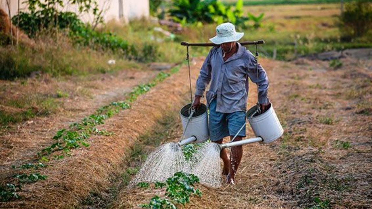 Agricultura consume 76% del agua en México