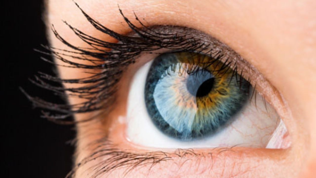 ¿Sabías que….. el ojo humano distingue hasta 10 millones de colores?