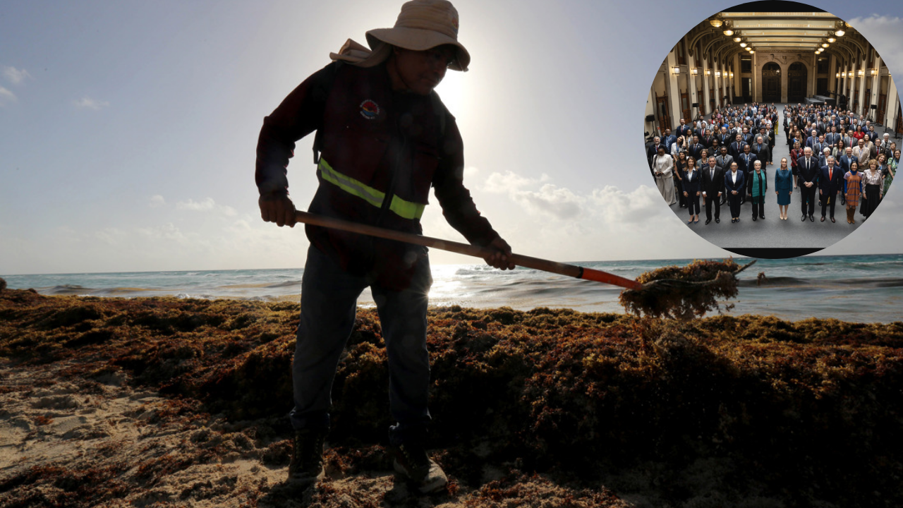 México, Latam y la UE acuerdan plan para combatir el sargazo