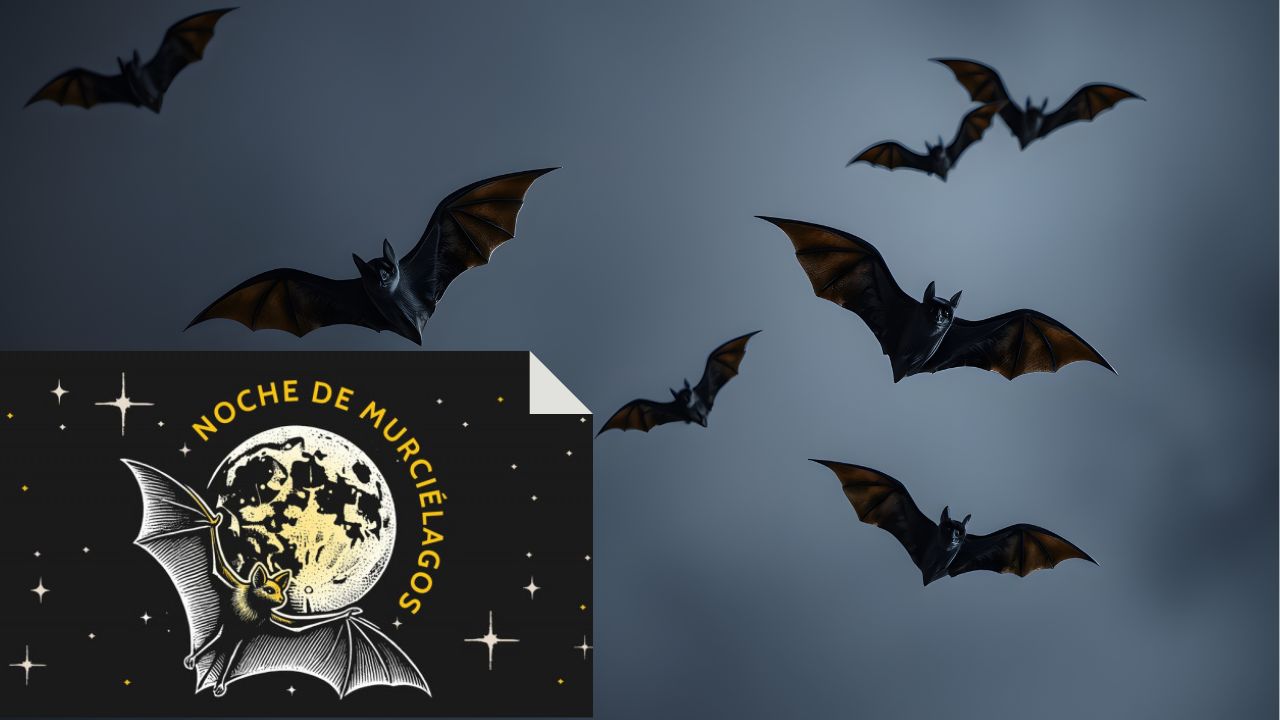 ¡No te la pierdas! “Noches de murciélagos” en Chapultepec