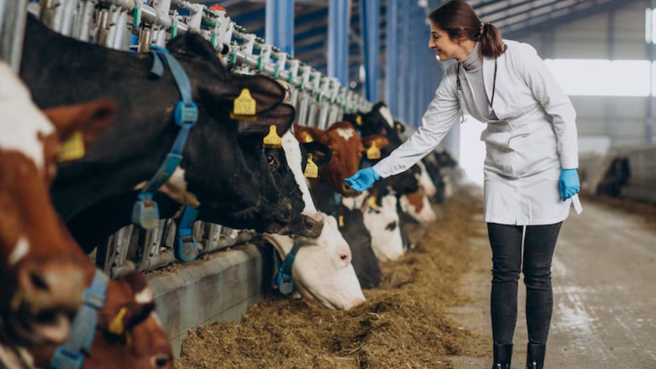 Senasica detecta caso aislado de gusano barrenador en NL