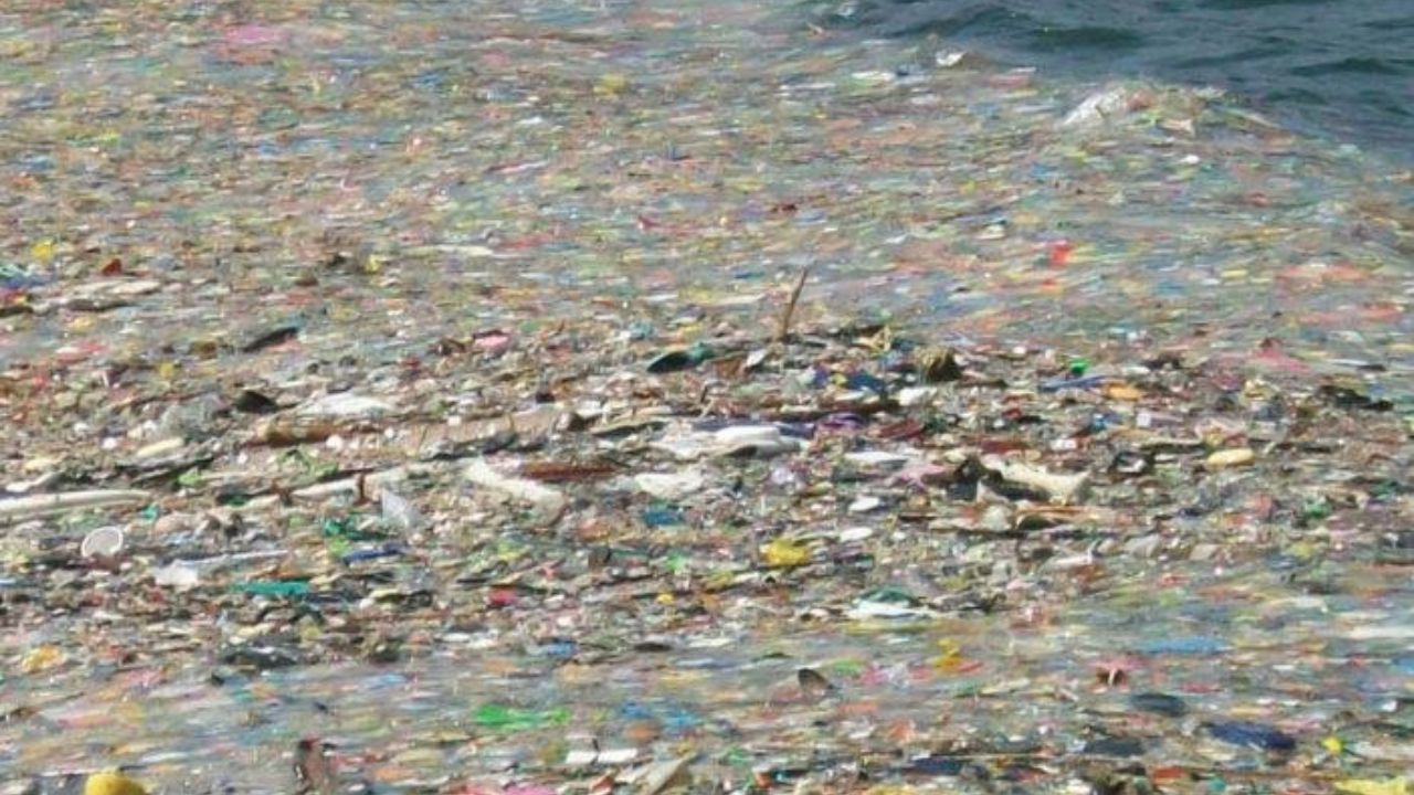 México genera 15 mil toneladas de plásticos al día