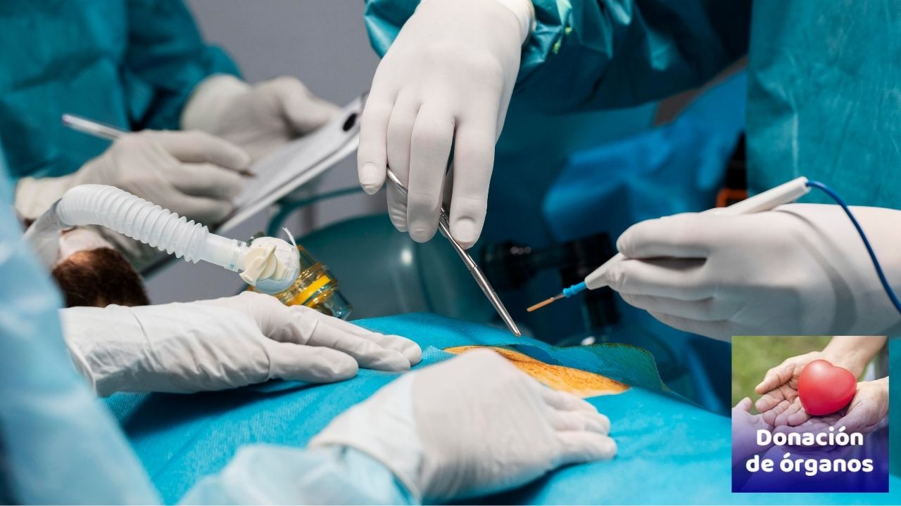 Más de 20 mil mexicanos esperan un trasplante
