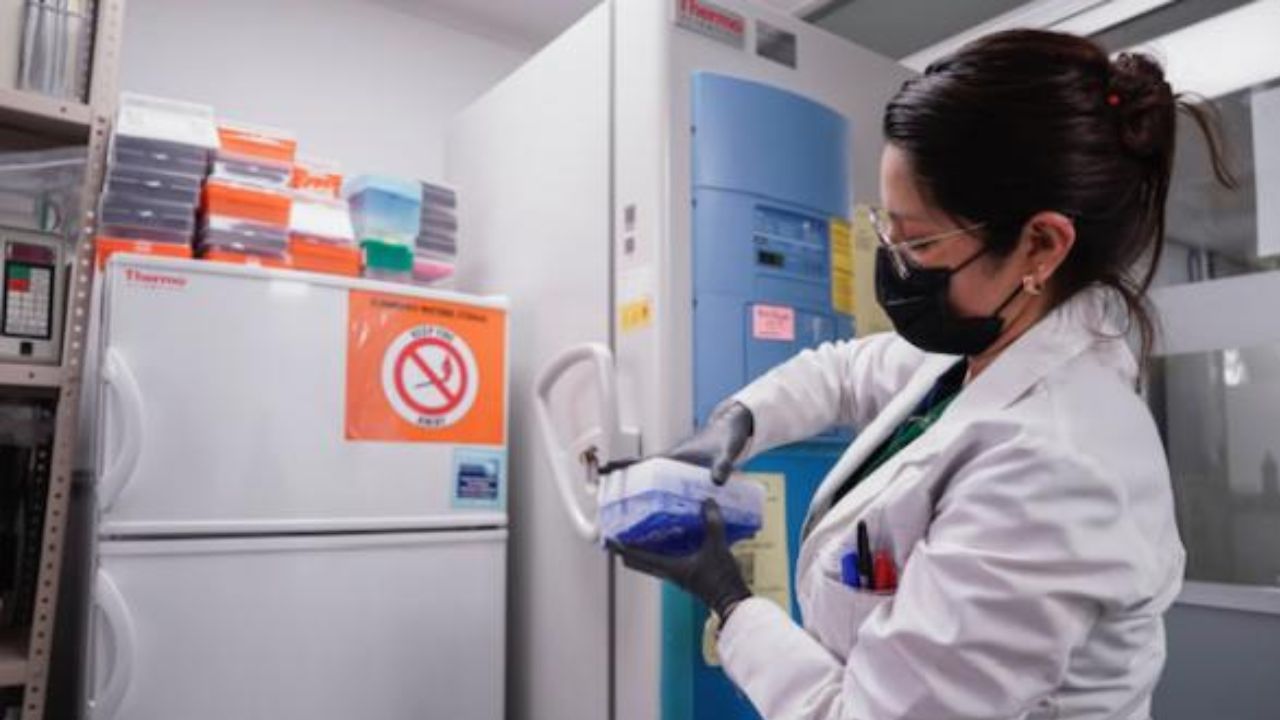 México registra cifra récord de nuevos médicos especialistas