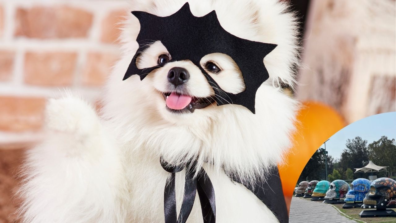 ¡No te pierdas “Calaveritas y Huellitas”!