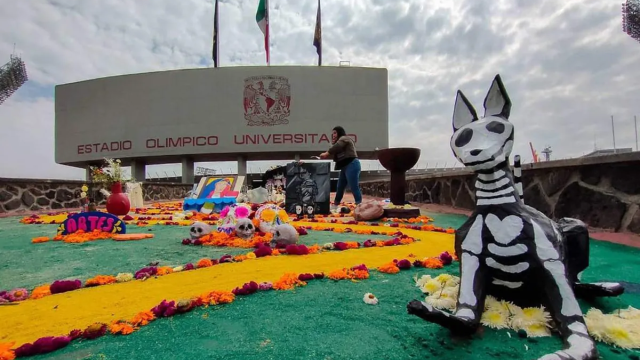 Megaofrenda de la UNAM tendrá a la migración como tema principal 