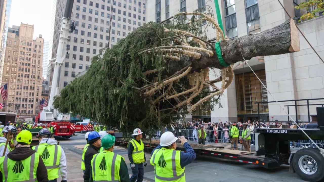 ¡Llega el famoso árbol navideño al Rockefeller Center!