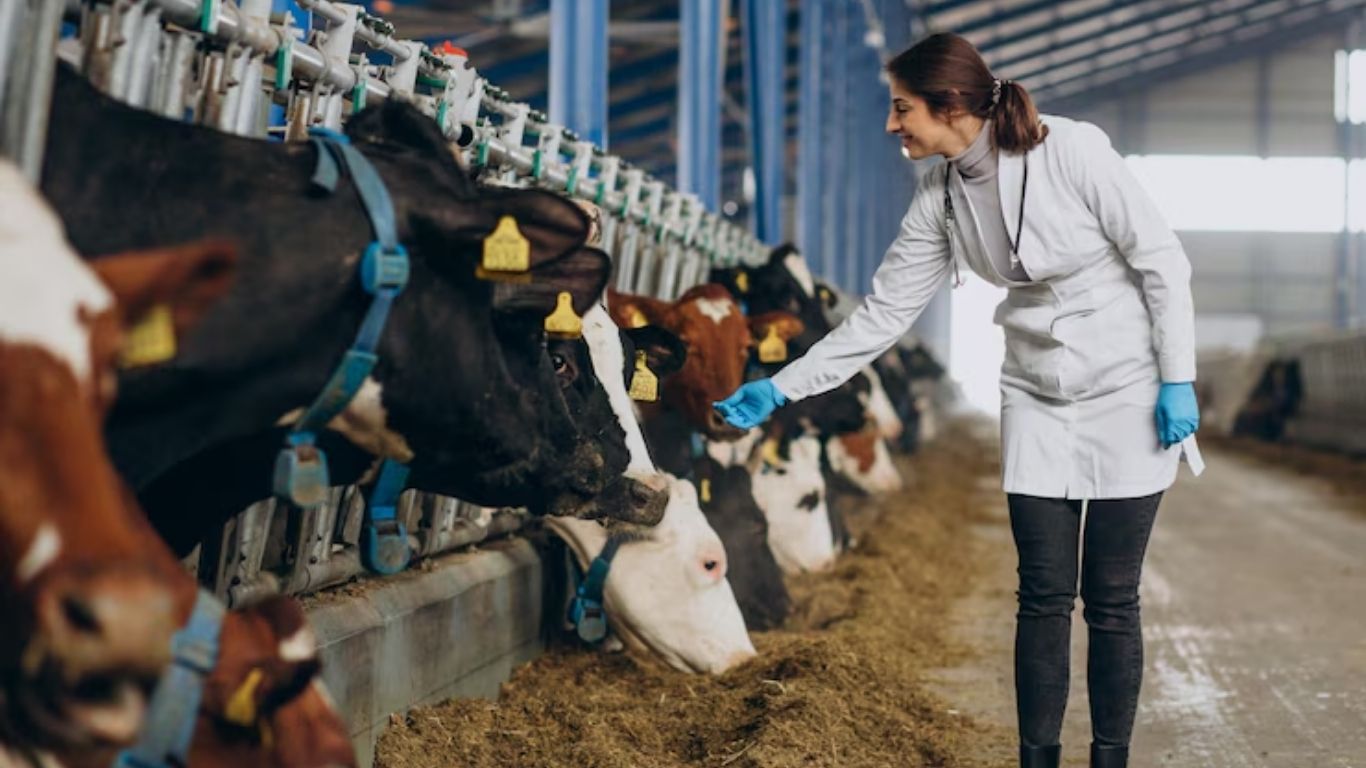 Atienden caso de gusano barrenador en Tamaulipas 