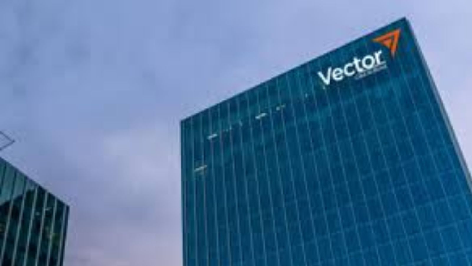 CNBV revoca licencia a Vector Casa de Bolsa