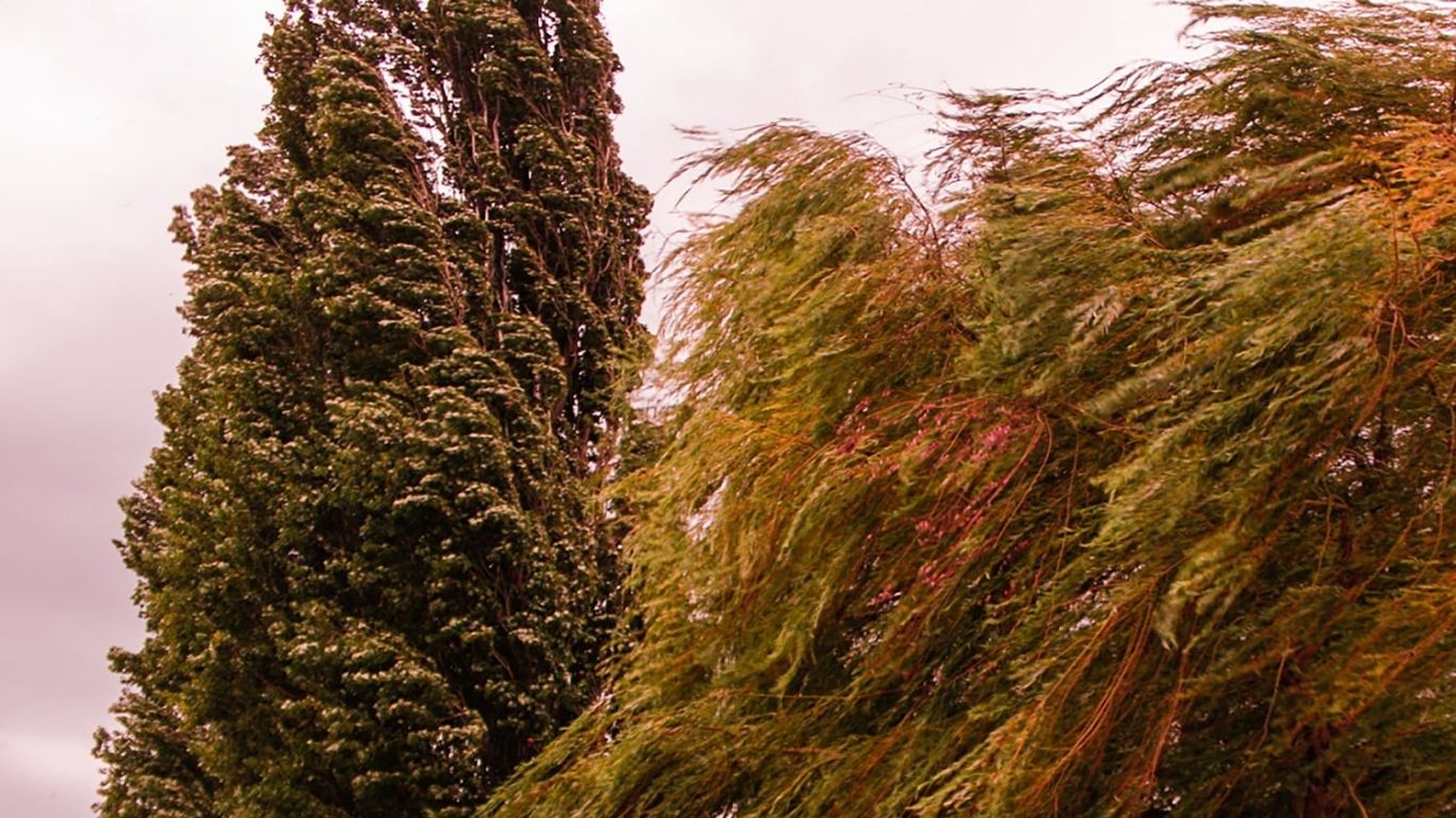 ¡Precaución! Fuertes vientos en CDMX esta tarde  