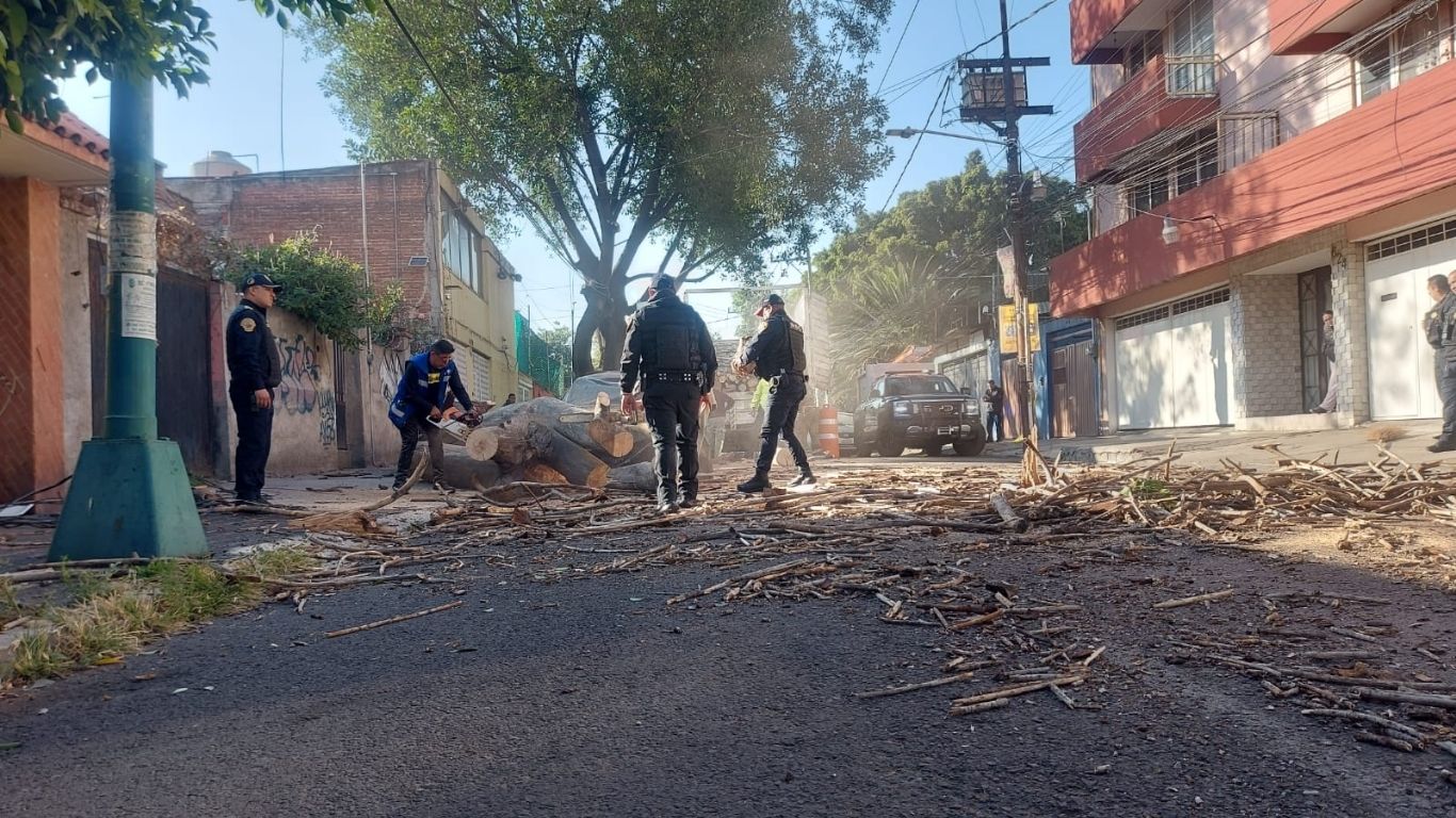 Sismo deja en CDMX 12 lesionados 
