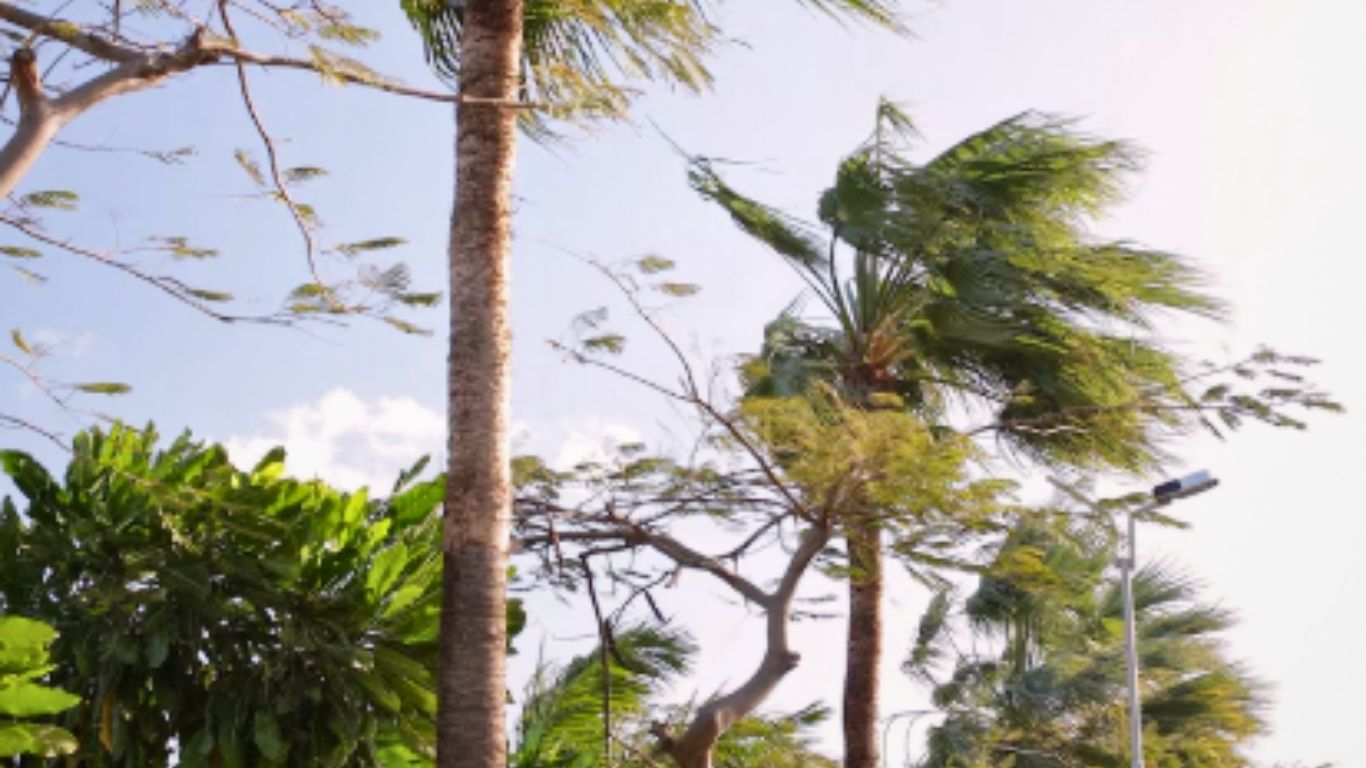 ¡Alerta! Vientos de hasta 120 km/h