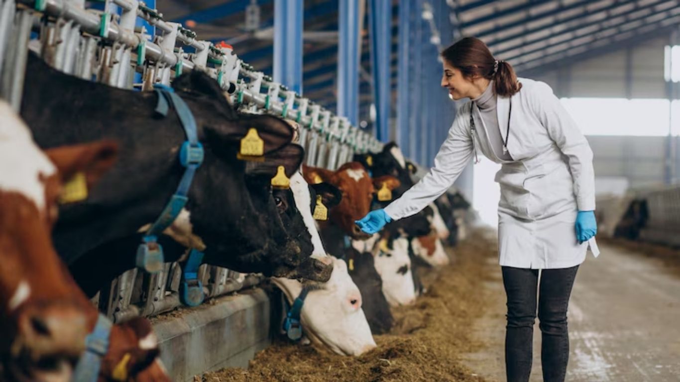 México intensifica acciones contra el gusano barrenador