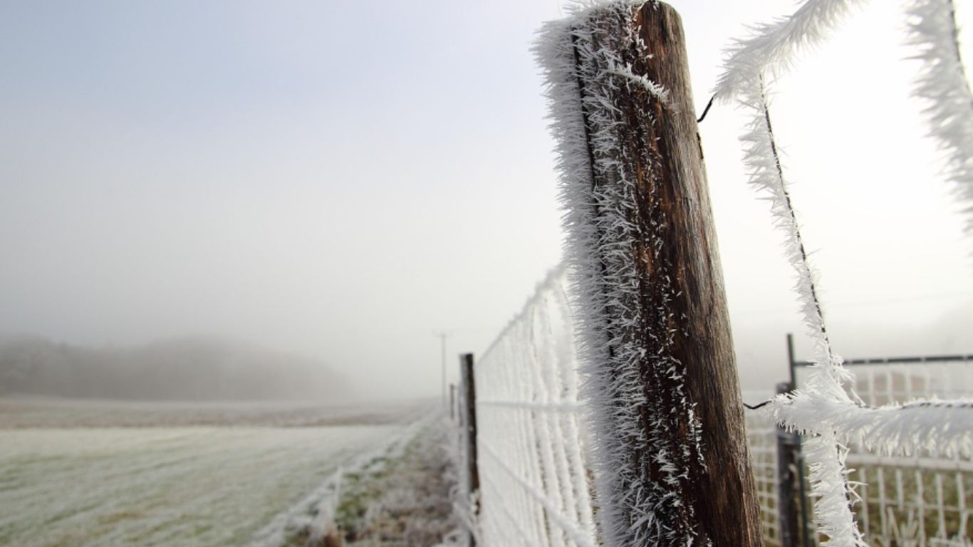 Prevén heladas severas en el norte y centro del país