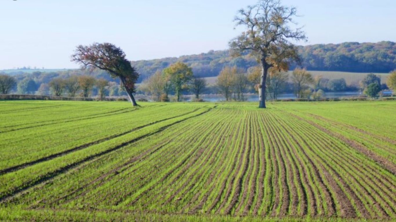 México alcanza 87% de municipios libres de sequía