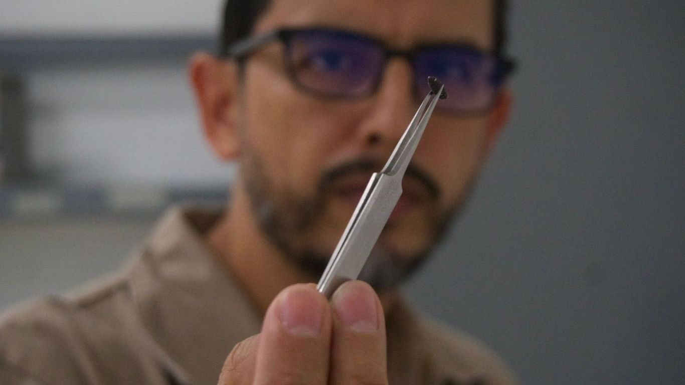 Planta de moscas estériles contra gusano barrenador