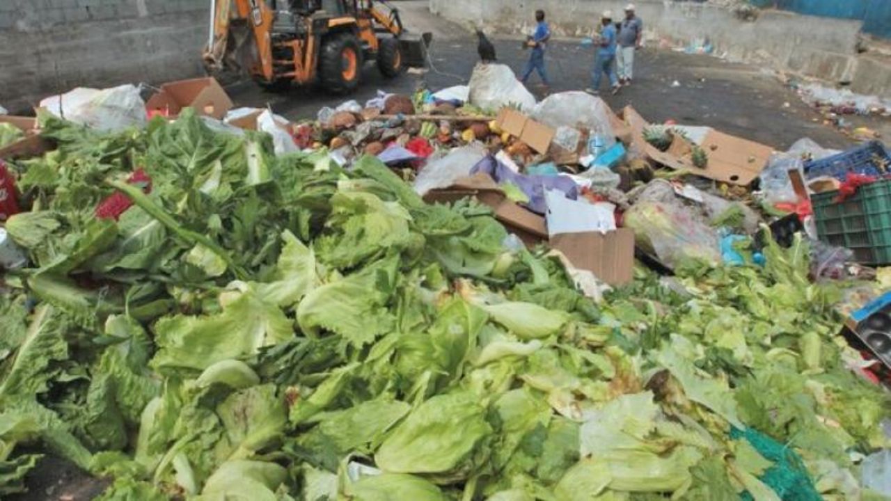 Desperdicio de alimentos en México genera 36 millones de toneladas de CO₂