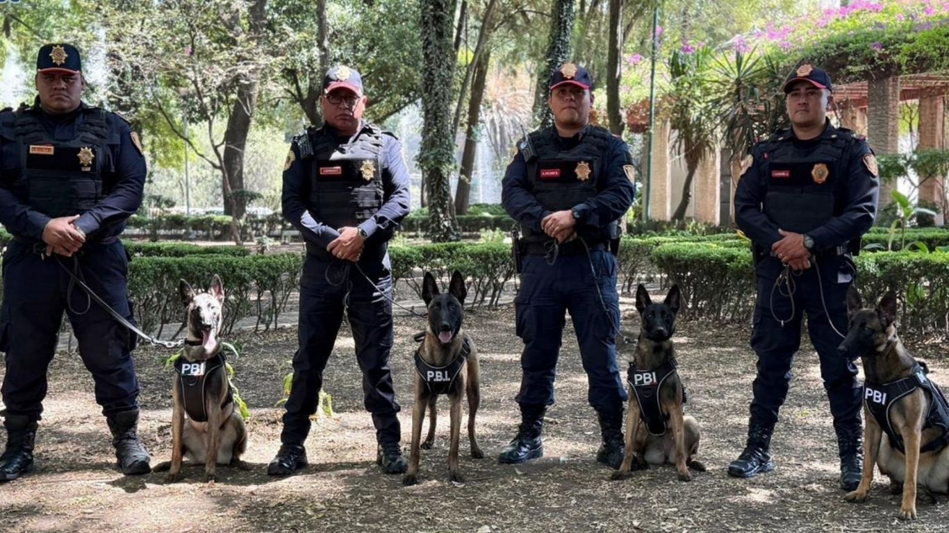 Perros especializados refuerzan seguridad en CDMX