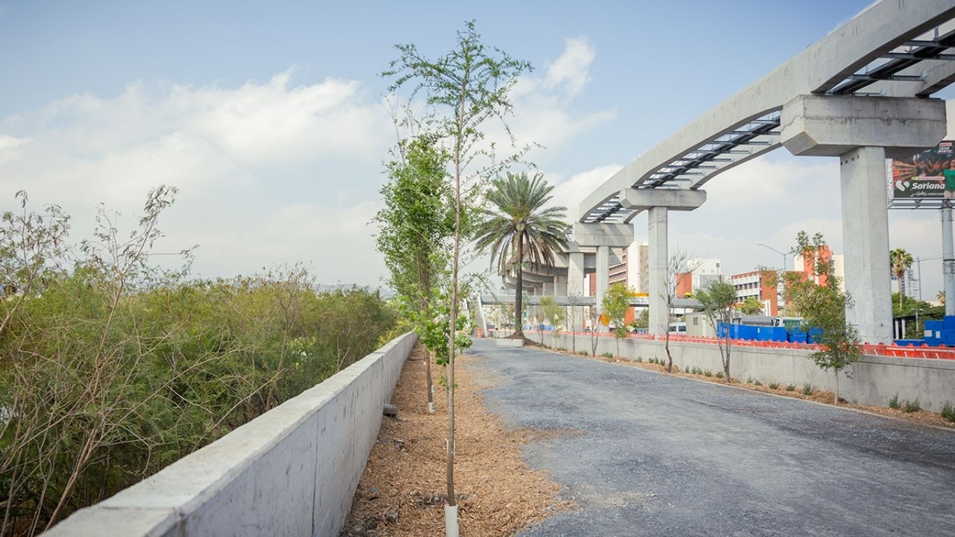 En marcha reforestación urbana en Nuevo León