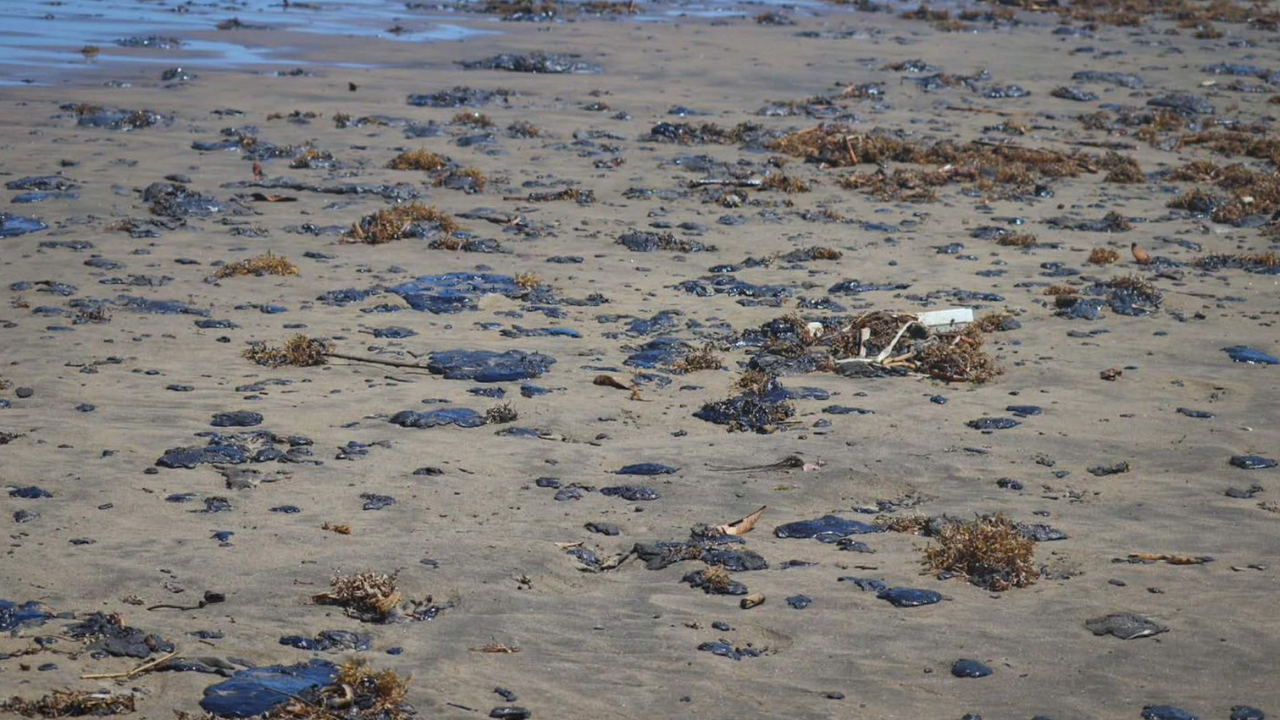 Derrame en el Golfo de México empezó en febrero