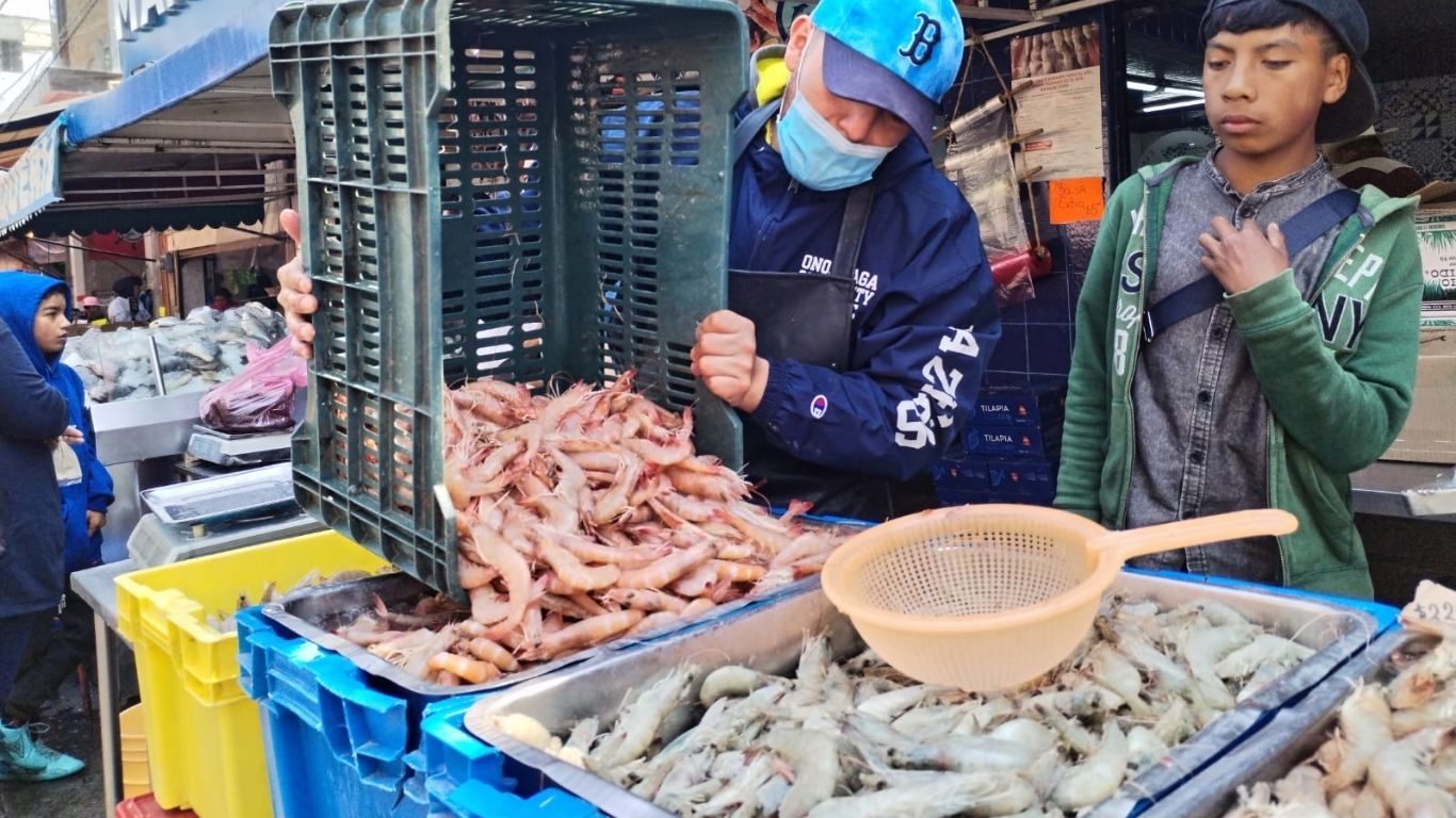 Edomex inspecciona mariscos para prevenir cólera