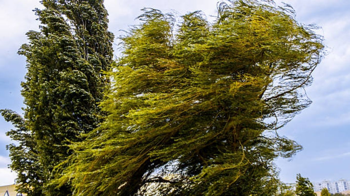 Alerta por fuertes vientos en el centro del país