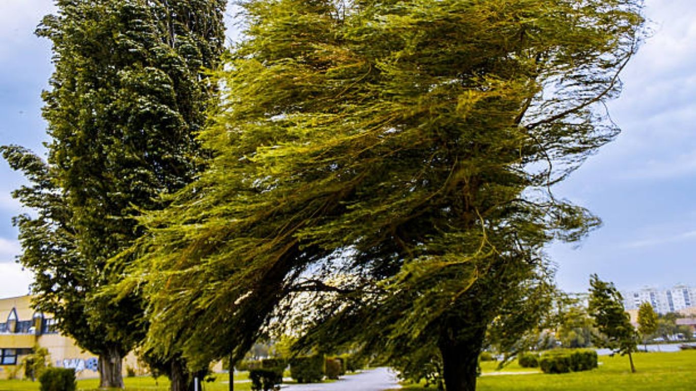 Alertan por fuertes vientos en CDMX