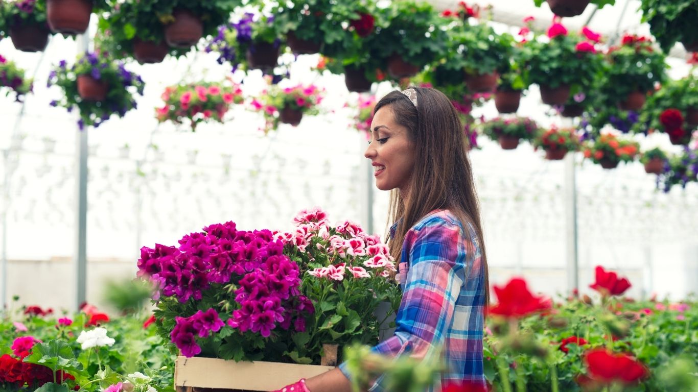 ¡Llega el Festival de las Flores de Primavera!