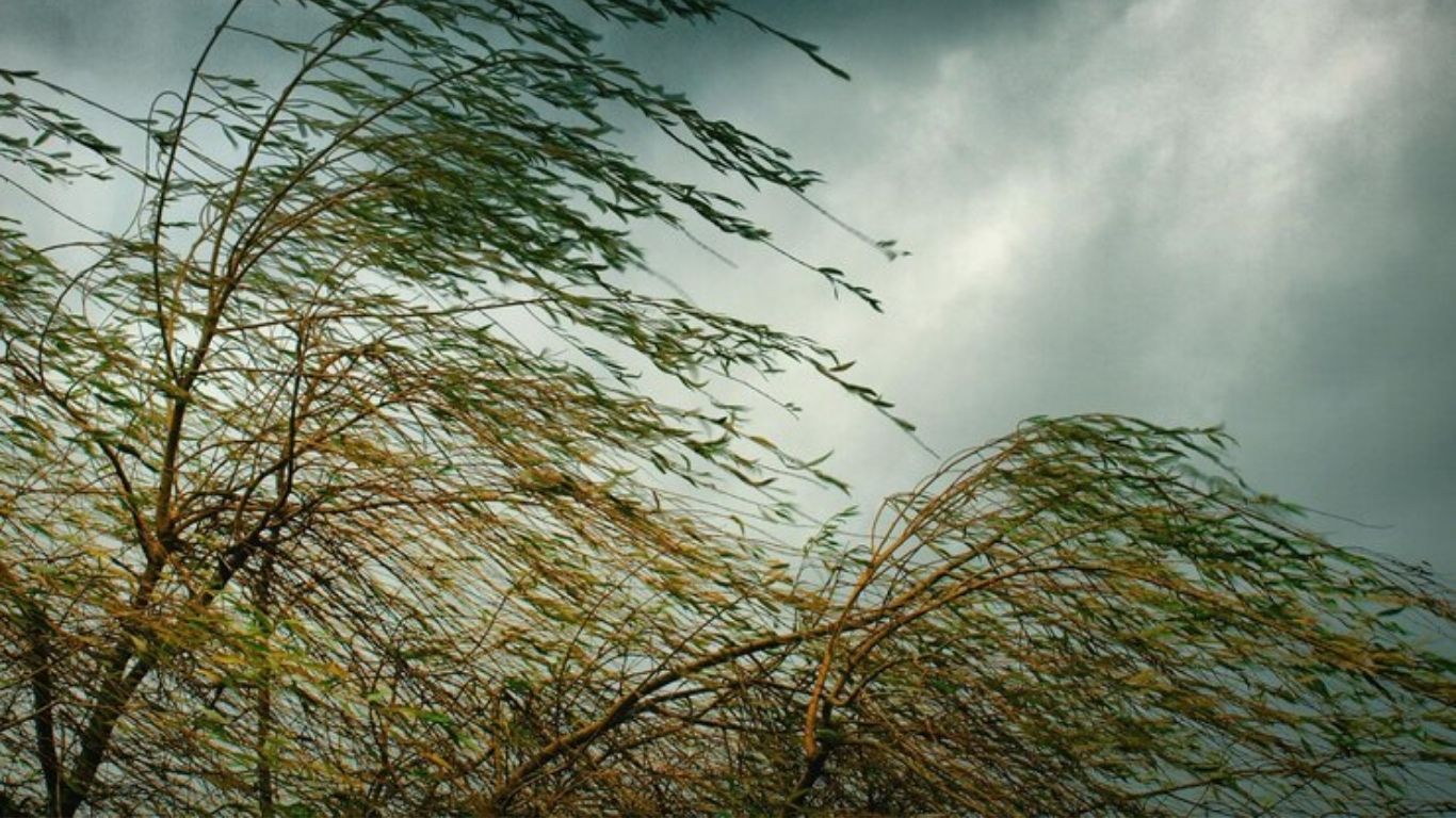 ¡Toma precauciones! Alerta Amarilla por fuertes vientos