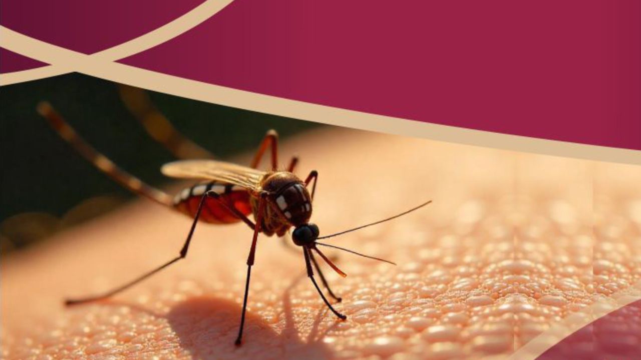 Arranca Jornada Nacional contra dengue y chikungunya