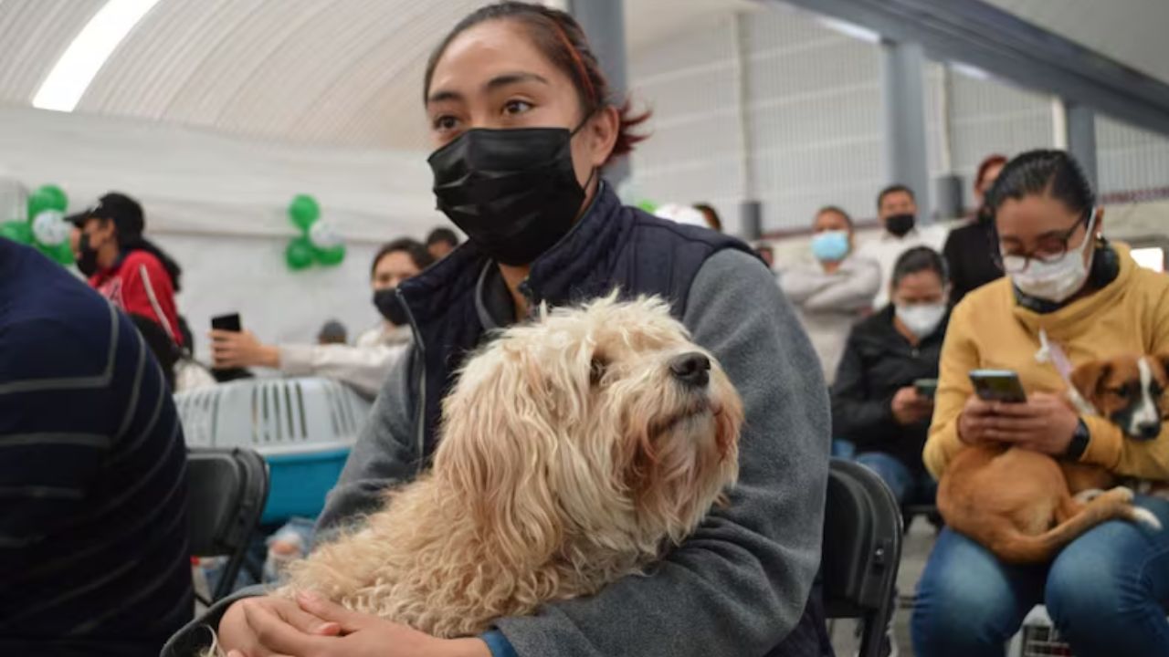 Inicia en Edomex Semana Nacional de Vacunación Antirrábica