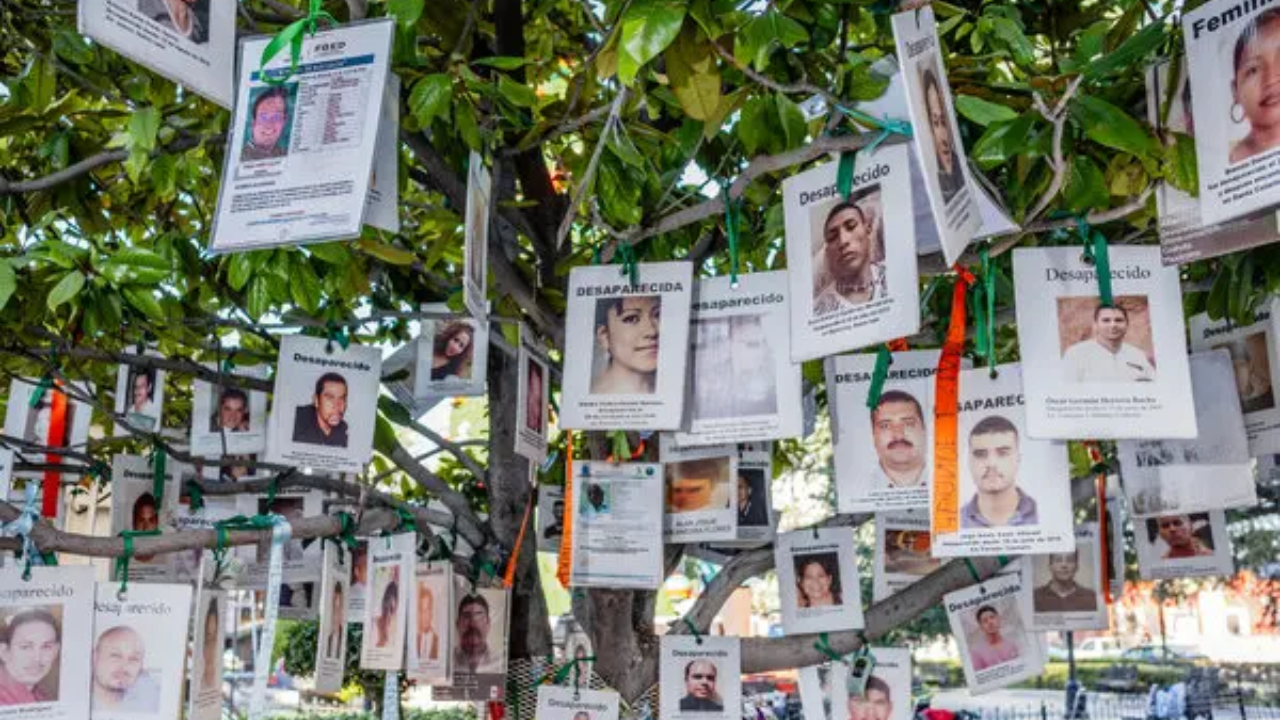 ONU-DH ofrece ayuda a México ante desapariciones