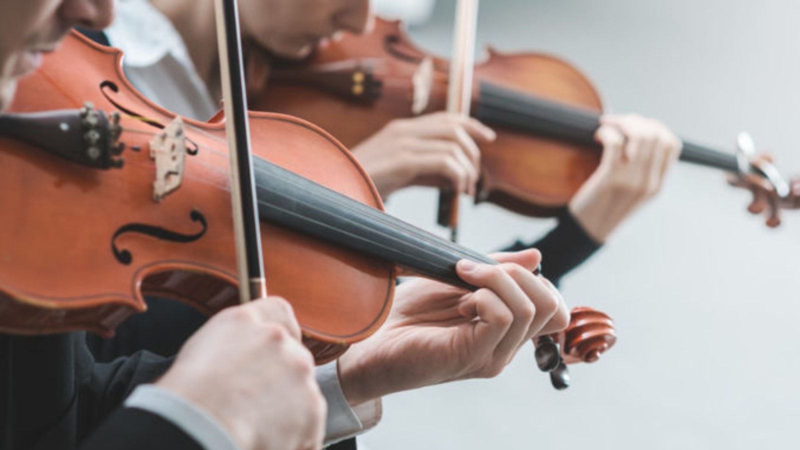 Música, diseño y artes visuales las disciplinas artísticas con mayor dinamismo en México