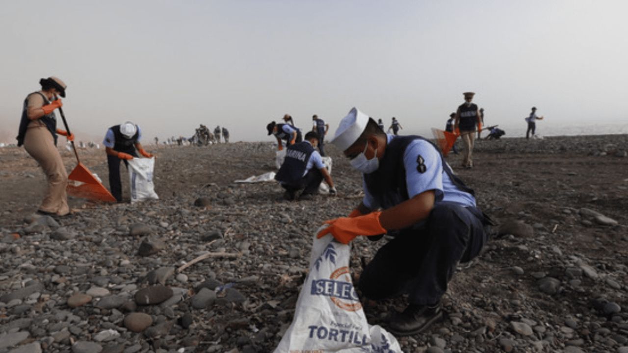 Retiran casi 900 toneladas de hidrocarburo en el Golfo de México