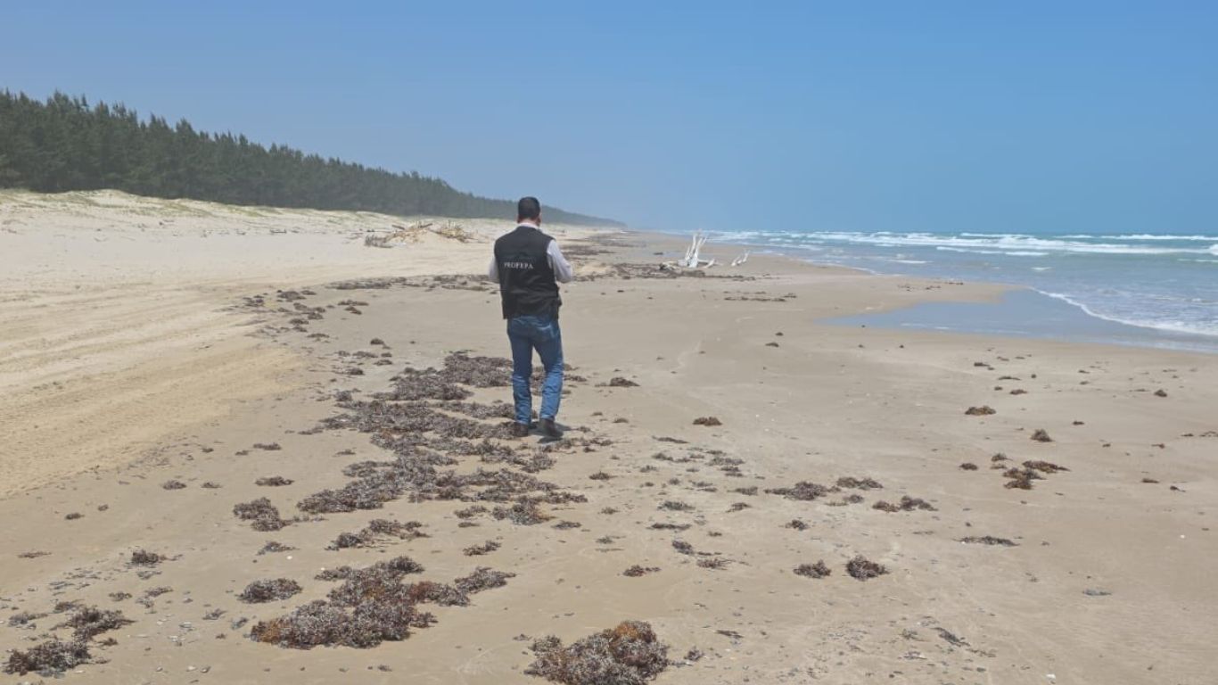 Revisan playa en Tamaulipas tras derrame de hidrocarburos